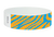 Neon Zebra