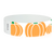 Pumpkin Patch