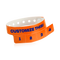 Neon Orange
