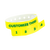 Neon Yellow