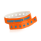 Neon Orange