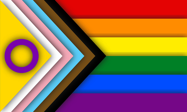 Gay LGBT Flag