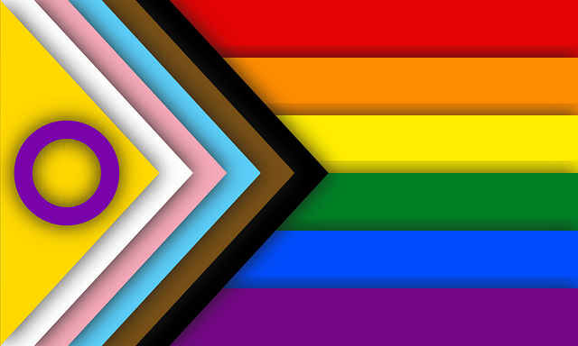 gay-7258750_640.png Gay LGBT Flag