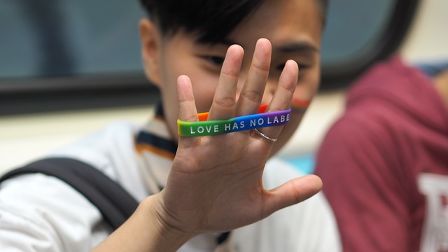 parade-4714534_640.jpg Pride Wristband