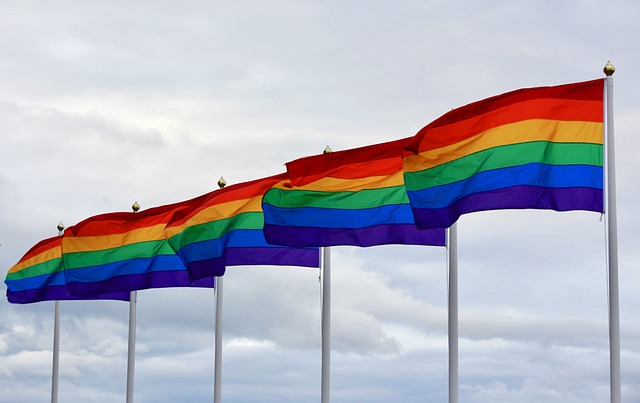 pride-flag-3822489_640.jpg Keep the Pride Conversation Going